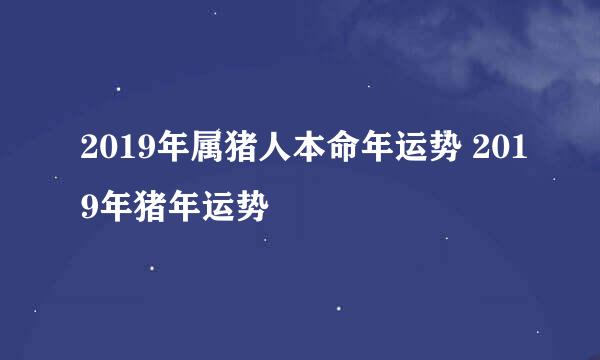 2019年属猪人本命年运势 2019年猪年运势