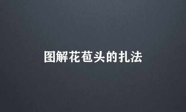 图解花苞头的扎法