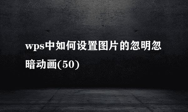 wps中如何设置图片的忽明忽暗动画(50)
