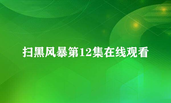 扫黑风暴第12集在线观看