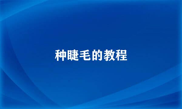 种睫毛的教程