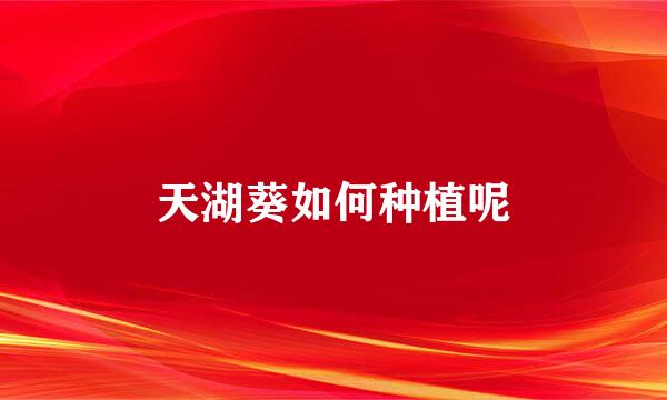 天湖葵如何种植呢