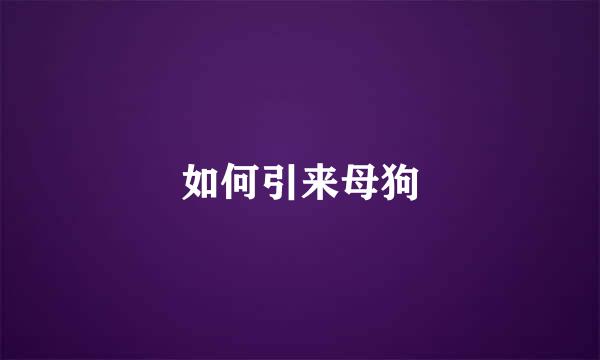 如何引来母狗