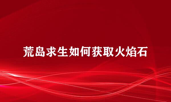 荒岛求生如何获取火焰石