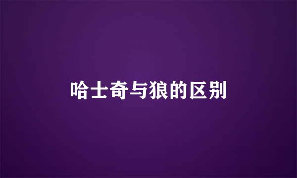 哈士奇与狼的区别