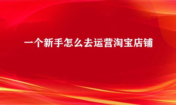 一个新手怎么去运营淘宝店铺