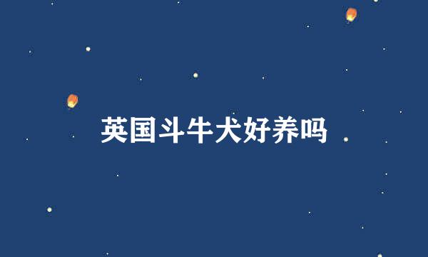 英国斗牛犬好养吗
