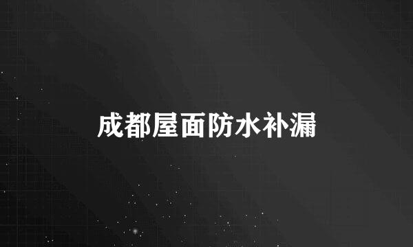 成都屋面防水补漏
