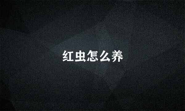 红虫怎么养