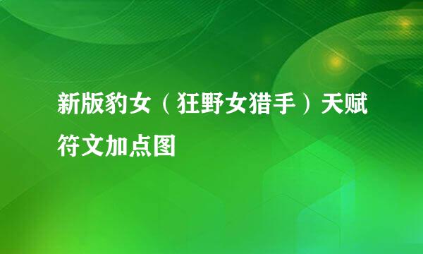 新版豹女（狂野女猎手）天赋符文加点图