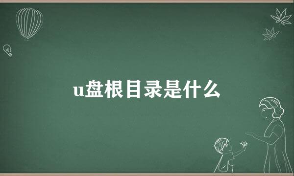 u盘根目录是什么