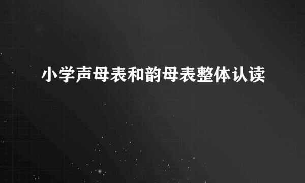 小学声母表和韵母表整体认读