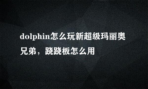 dolphin怎么玩新超级玛丽奥兄弟，跷跷板怎么用