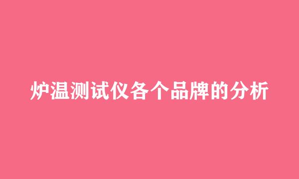 炉温测试仪各个品牌的分析