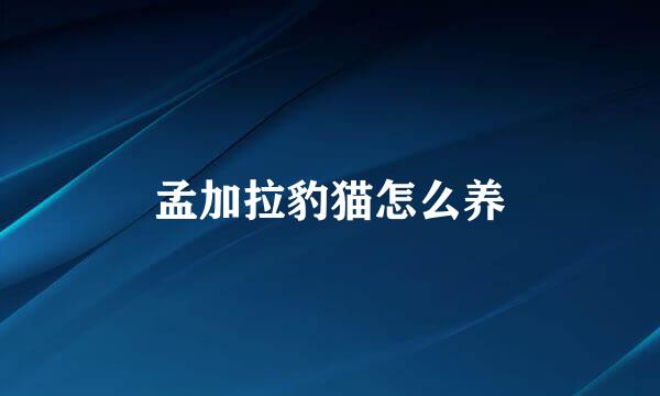 孟加拉豹猫怎么养