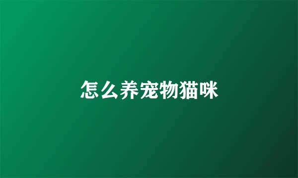 怎么养宠物猫咪
