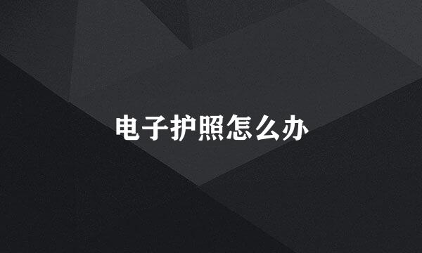 电子护照怎么办