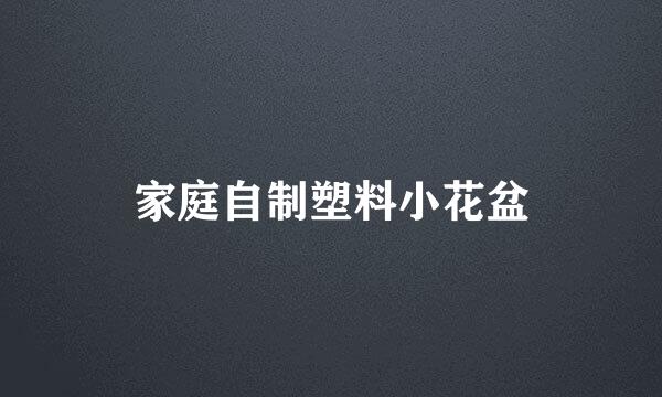 家庭自制塑料小花盆