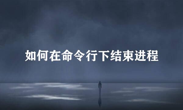 如何在命令行下结束进程