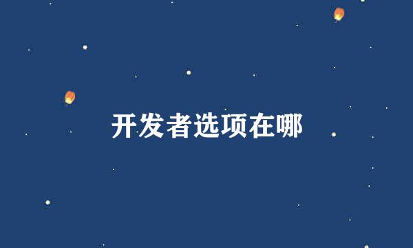 开发者选项在哪