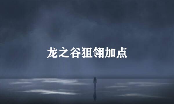 龙之谷狙翎加点