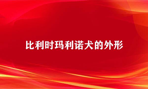 比利时玛利诺犬的外形