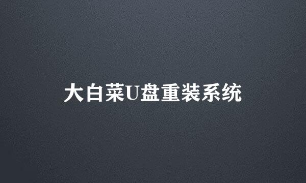 大白菜U盘重装系统