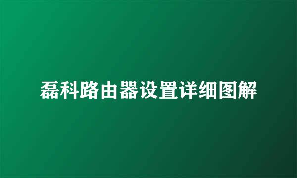 磊科路由器设置详细图解