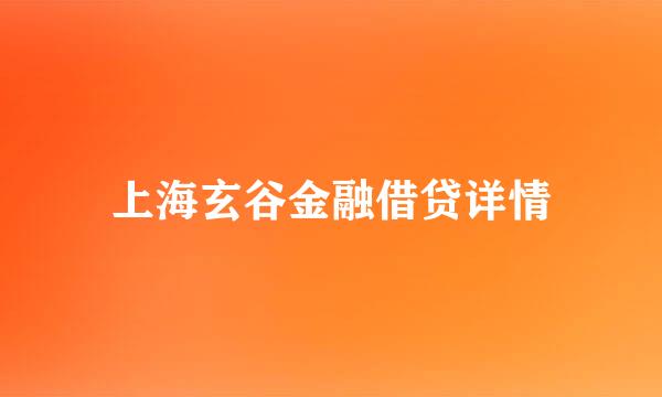 上海玄谷金融借贷详情
