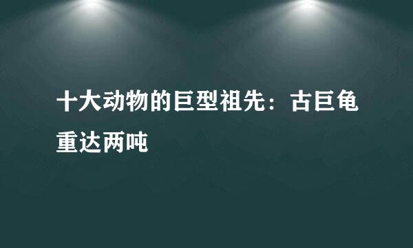 十大动物的巨型祖先：古巨龟重达两吨