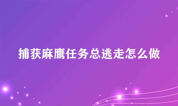 捕获麻鹰任务总逃走怎么做