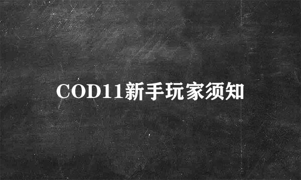 COD11新手玩家须知