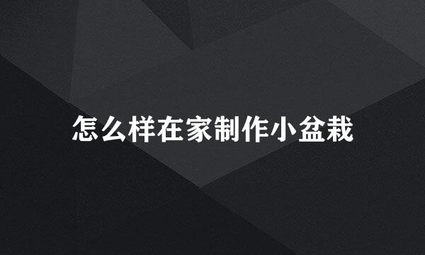 怎么样在家制作小盆栽