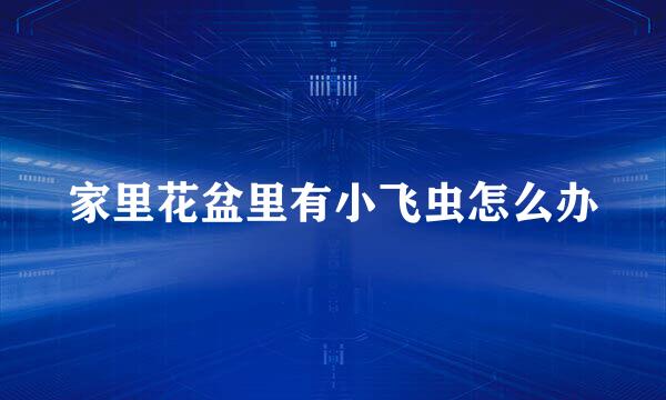 家里花盆里有小飞虫怎么办