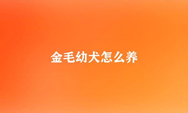 金毛幼犬怎么养