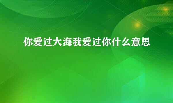 你爱过大海我爱过你什么意思