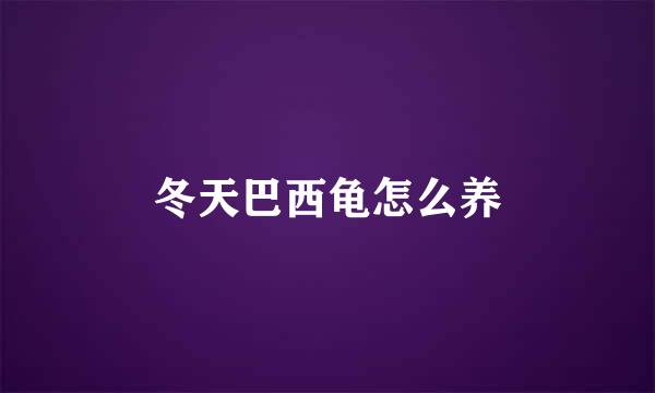 冬天巴西龟怎么养