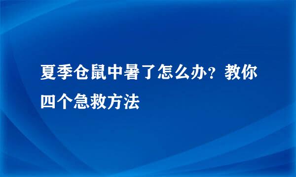 夏季仓鼠中暑了怎么办？教你四个急救方法