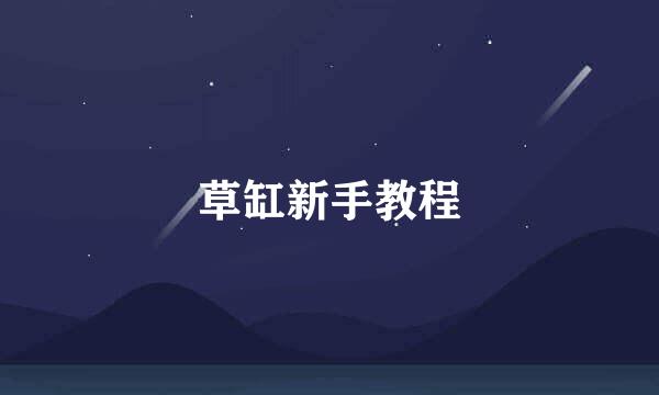 草缸新手教程