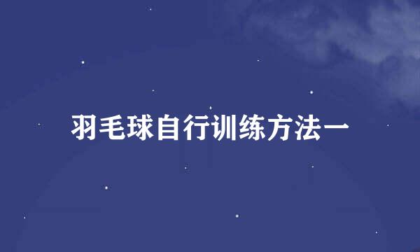 羽毛球自行训练方法一