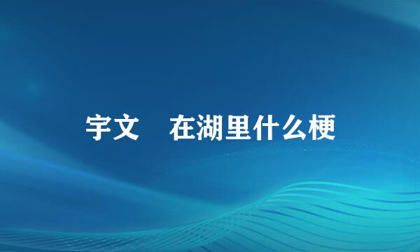宇文玥在湖里什么梗