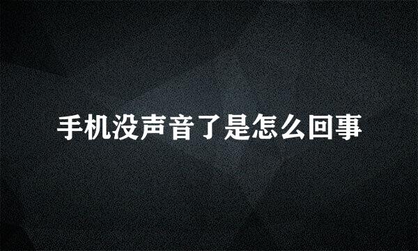 手机没声音了是怎么回事