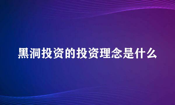 黑洞投资的投资理念是什么