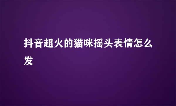 抖音超火的猫咪摇头表情怎么发