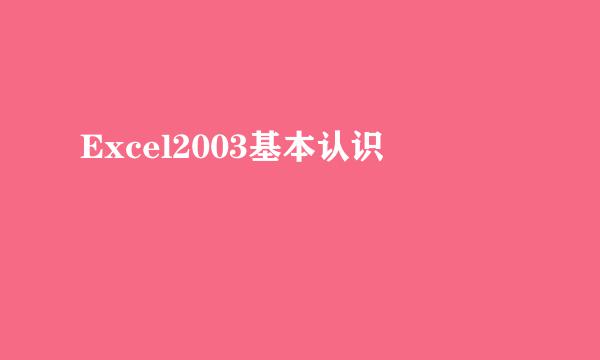 Excel2003基本认识