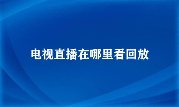 电视直播在哪里看回放