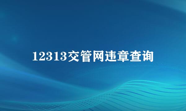 12313交管网违章查询