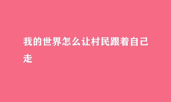 我的世界怎么让村民跟着自己走