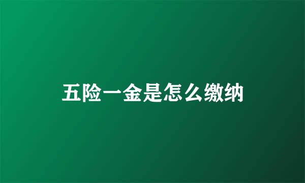 五险一金是怎么缴纳