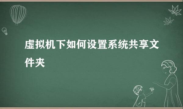 虚拟机下如何设置系统共享文件夹
